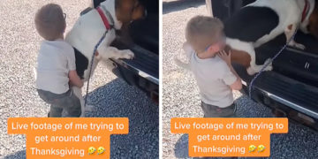 Cachorro não consegue entrar no carro e menino decide ajudar