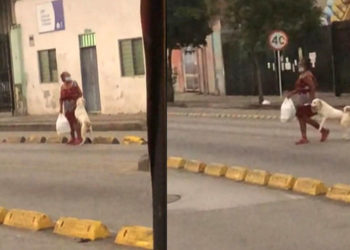 mulher leva seu cachorro pela pata para poder atravessar a rua