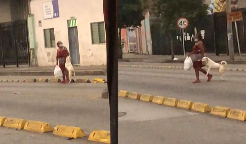 mulher leva seu cachorro pela pata para poder atravessar a rua